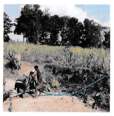 Irrigation