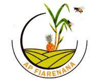 Logo AP Fiarenana
